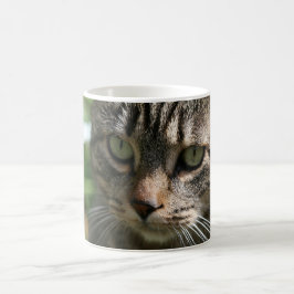 Gute Morgen Cat Tasse