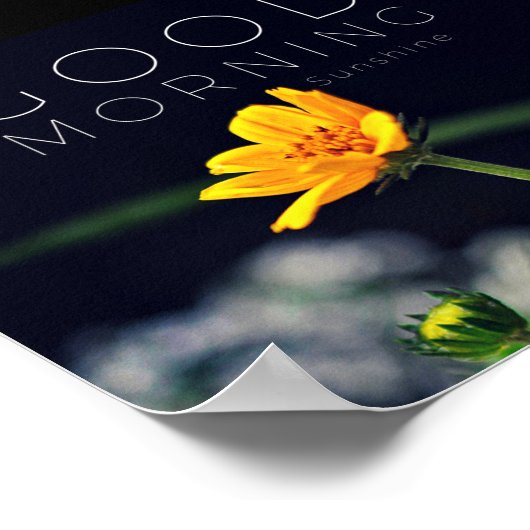 Gute Morgensonne Poster Print (Ecke)