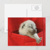 Gute Morgenwelt Postkarte (Vorne/Hinten)