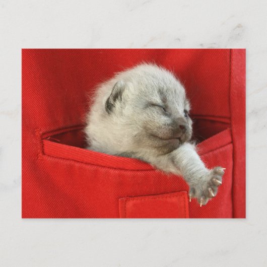 Gute Morgenwelt Postkarte (Vorderseite)