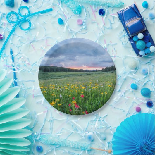 Gute Morgenwiese, Pappteller (Party)