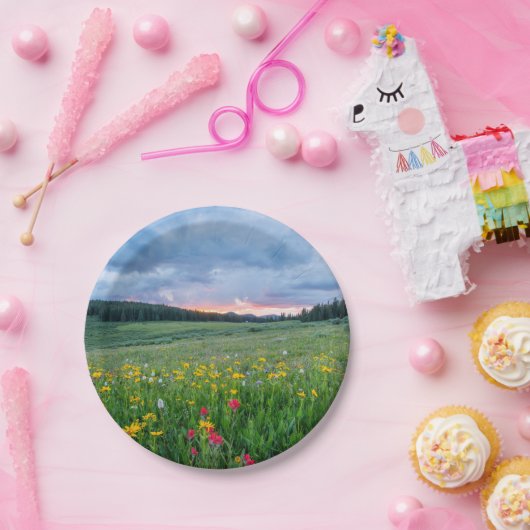 Gute Morgenwiese, Pappteller (Party)