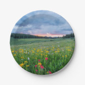 Gute Morgenwiese, Pappteller (Vorderseite)