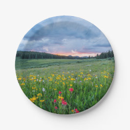 Gute Morgenwiese, Pappteller