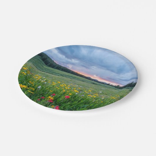 Gute Morgenwiese, Pappteller (Schrägansicht)