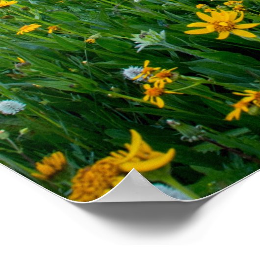 Gute Morgenwiese, Poster (Ecke)