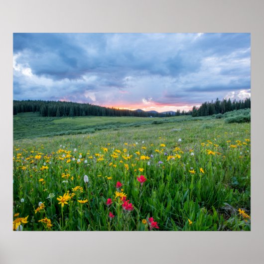 Gute Morgenwiese, Poster (Vorne)