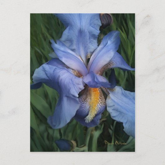 Gute Nachbarn Postkarte (Vorderseite)