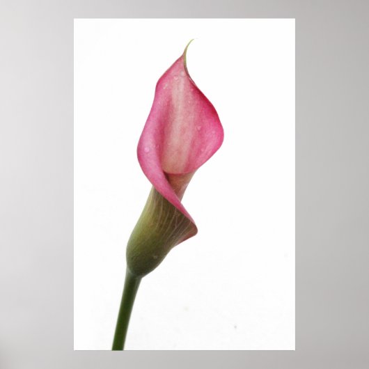 Gute Nacht Angel Poster (Vorne)