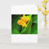 Gute Nacht! Karte (Gelbe Blume)