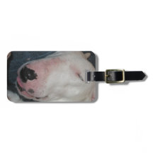 Gute Nacht, schlafen fester, alberner Hund