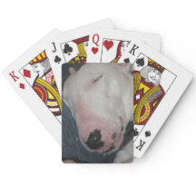 Gute Nacht, schlafen fester, alberner Hund