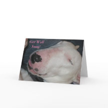 Gute Nacht, schlafend Nacht, Alberner Hund-Get gut