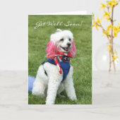 Gute Poodle-Grußkarte Karte (Gelbe Blume)