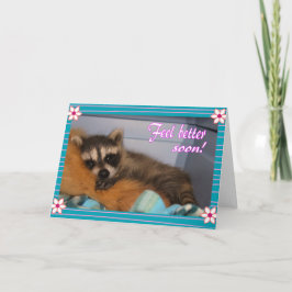 Gute Raccoon Karte