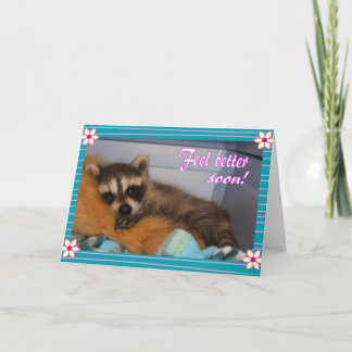 Gute Raccoon Karte