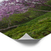 Gute und rote Bud-Bäume Poster (Ecke)