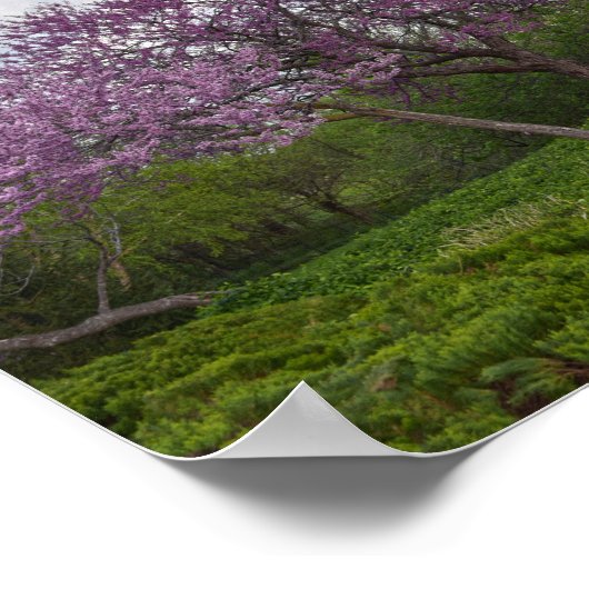 Gute und rote Bud-Bäume Poster (Ecke)