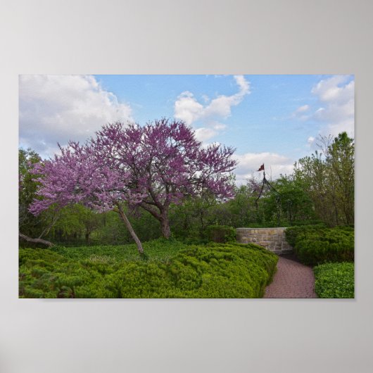 Gute und rote Bud-Bäume Poster (Vorne)
