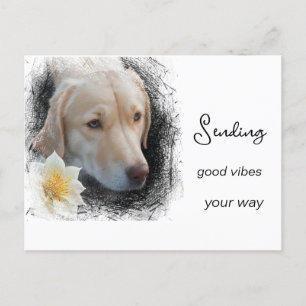 *~ Gute Vibes Trauriges Gold Hund Blume AP61 Postkarte