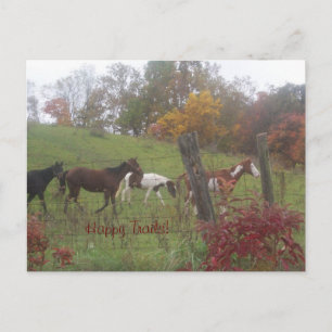 Gute Wege! Postkarte