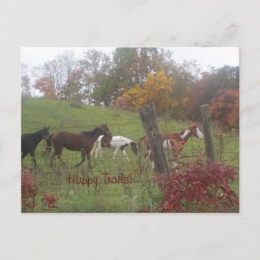 Gute Wege! Postkarte (Vorderseite)