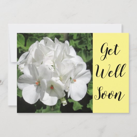 Gute weiße Blumenfotografie (Vorderseite)