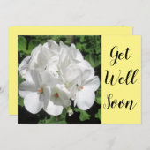 Gute weiße Blumenfotografie (Vorne/Hinten)