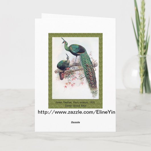 Gute Wünsche, Freunde, Familie, Pfau Karte (Rückseite)