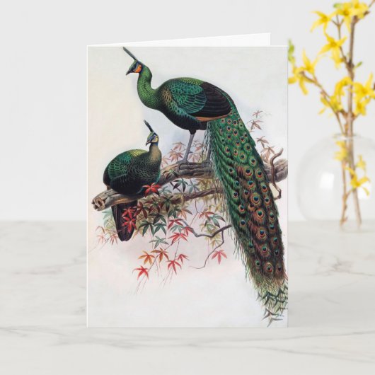 Gute Wünsche, Freunde, Familie, Pfau Karte (Gelbe Blume)