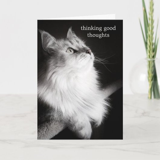 Gute Wünsche für die Cat Lovers Card Karte (Vorderseite)