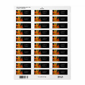 Güte zählt! Aufkleber Orang Lily Blume (Vorne)