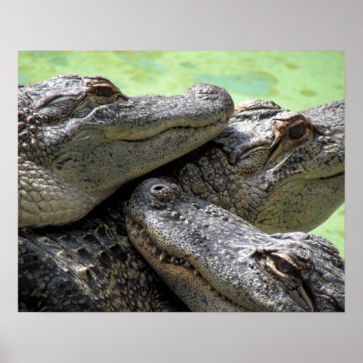 Gute Zeiten Poster (Vorne)