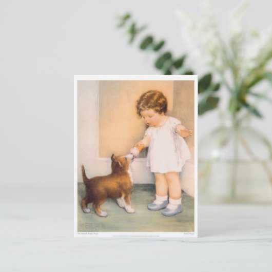 Guten Jungen! Border Collie Postcard Postkarte (Stehend Vorderseite)