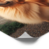 Guten Jungen - Golden Retriever Poster (Ecke)