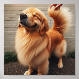 Guten Jungen - Golden Retriever Poster