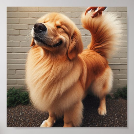 Guten Jungen - Golden Retriever Poster (Vorne)