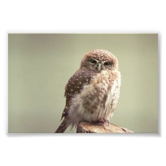 Guten Morgen an Ihr Foto (Vorne)