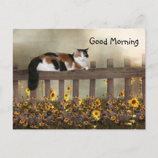 Guten Morgen calico kitty Postkarte (Vorderseite)