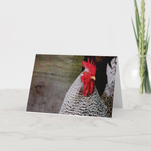 Guten Morgen, Elmer! Karte (Vorderseite)