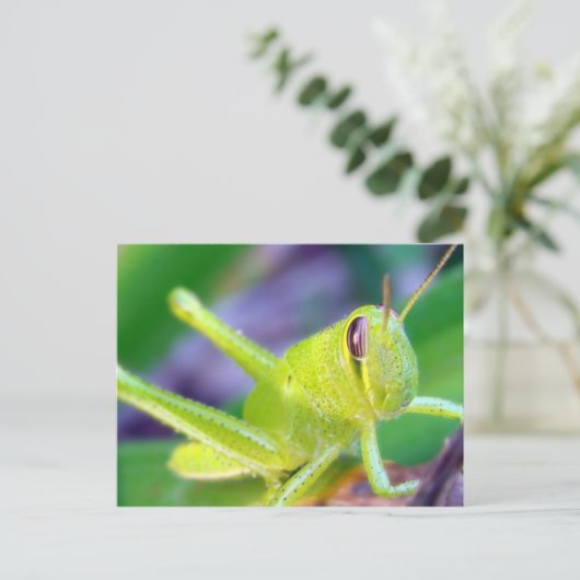 Guten Morgen, Grasshopper! Postkarte (Stehend Vorderseite)