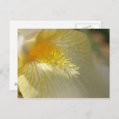 Guten Morgen, Iris! Postkarte (Vorne/Hinten)