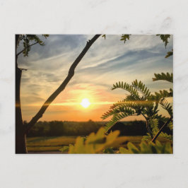 Guten Morgen, Oklahoma Postkarte