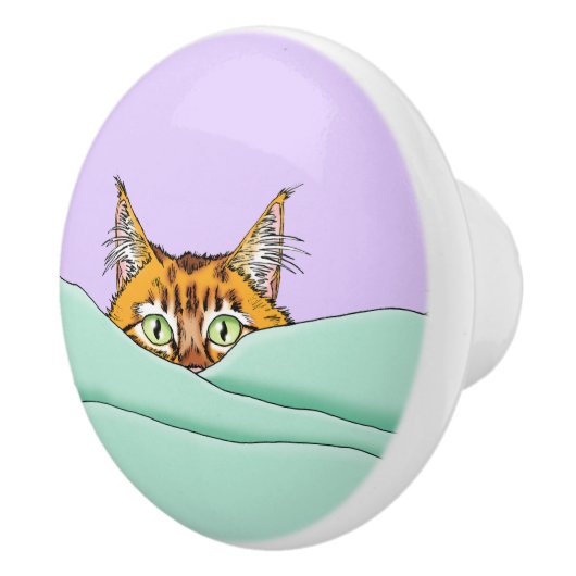 Guten Morgen Orange Cat Funny Keramikknauf (Rechts)