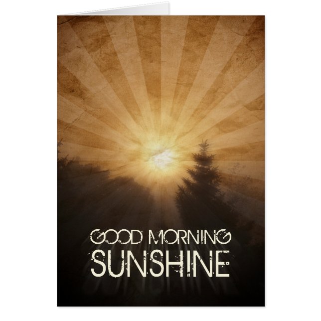 Guten Morgen Sonnenschein (Vorne)