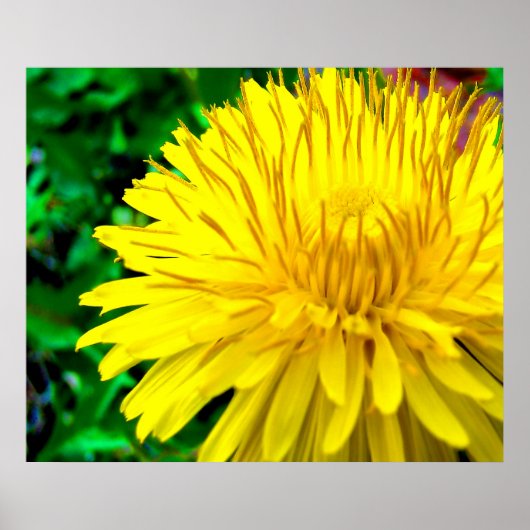 Guten Morgen Sonnenschein Poster (Vorne)