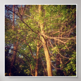 Guten Nachmittag Poster