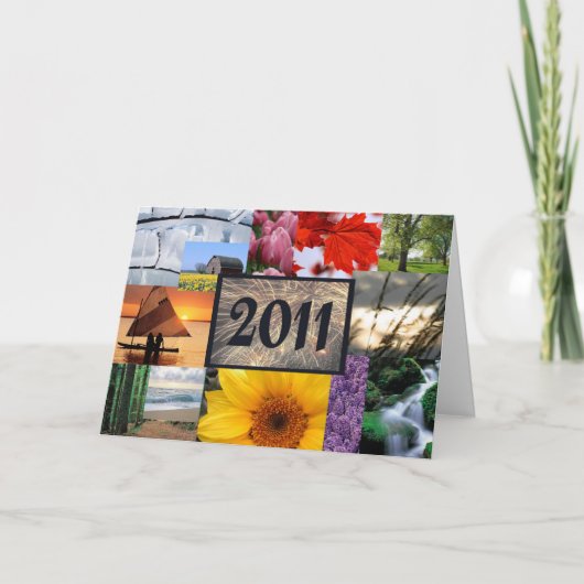 Guten Rutsch ins Neue Jahr 2011 Feiertagskarte (Vorderseite)