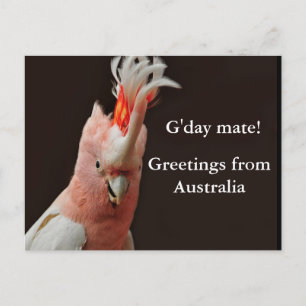 Guten Tag, Grüße aus Australien! Postkarte