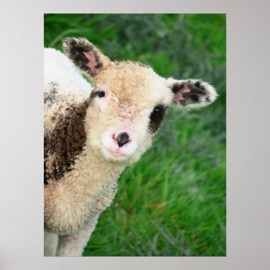 Guten Tag! Poster (Vorne)